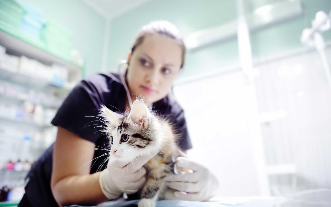 Four reasons your surgery could benefit from a VoIP phone system